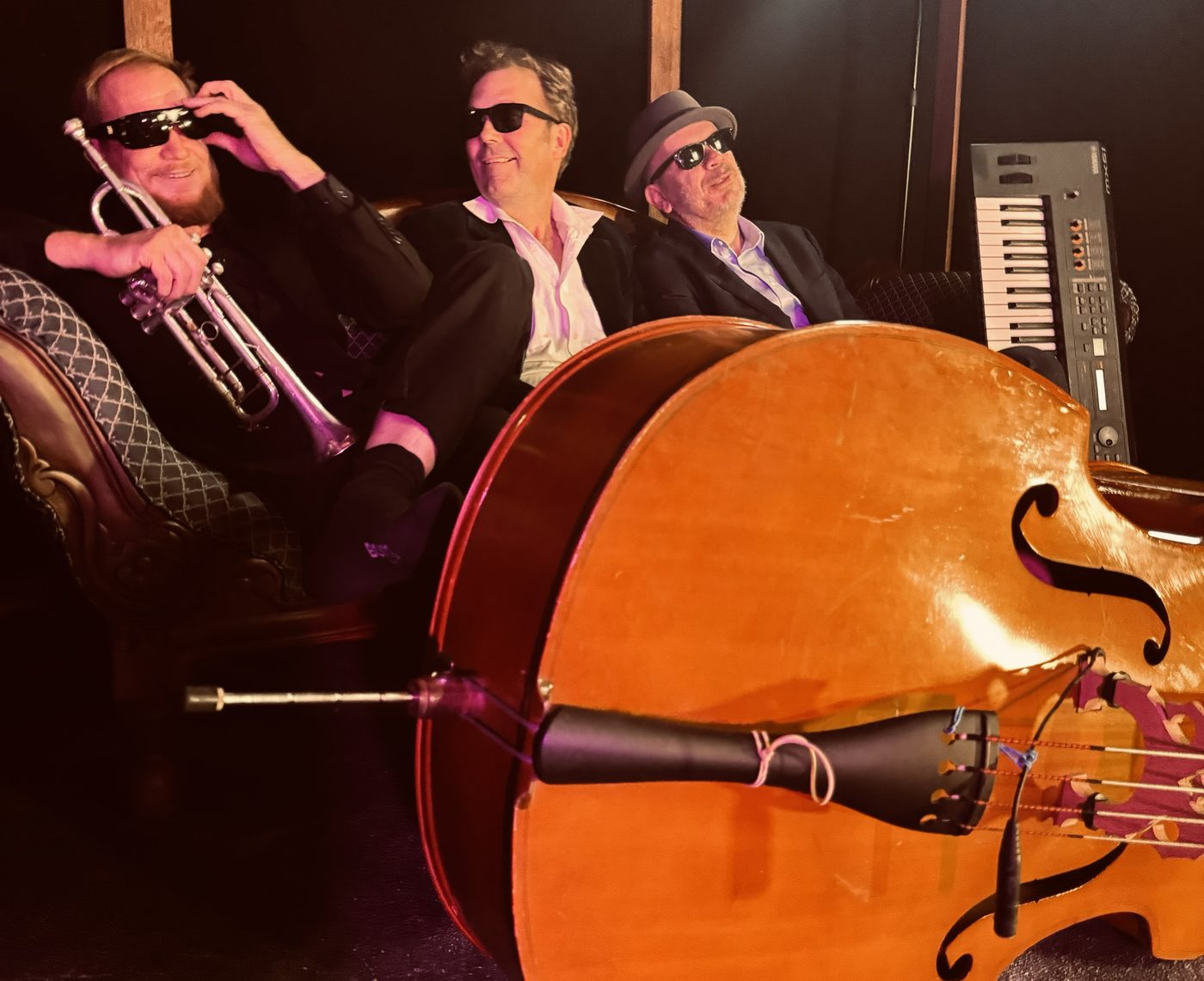 Hans Lovejoy jazz trio with double bass